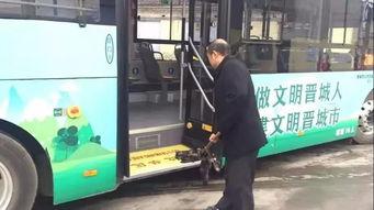 晋城公交爆料最新消息,揭秘新线路及优化调整详情